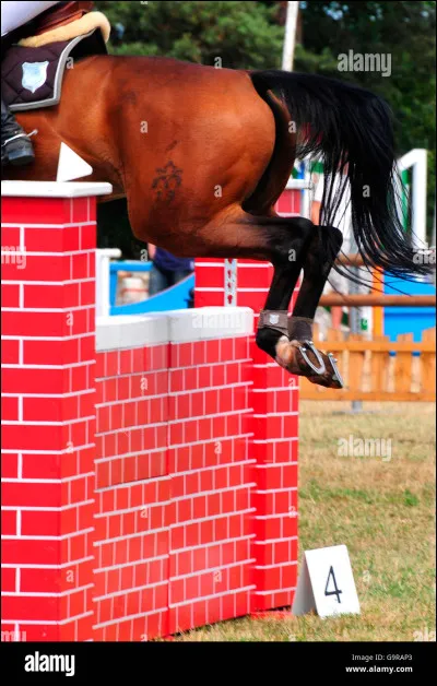 Quel est ce saut dobstacles ?