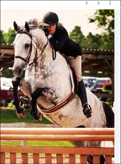 Quelle robe est alezane ?