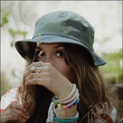 Qui &eacute;taient les fr&egrave;res Dalton ?