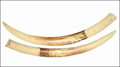 O&ugrave; est n&eacute; John William ?