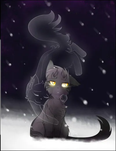 Qui est ce grisâtre ?