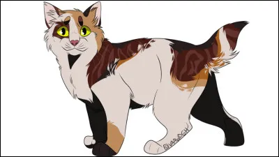 Qui est cette féline à la courte queue ?