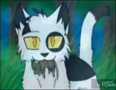 Qui est cet apprenti que nous connaissons tous ?