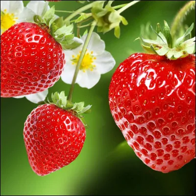 Qu'est-ce que c'est ?