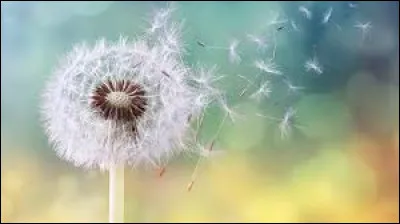 G&eacute;ographie - Quel pays d'Am&eacute;rique du Sud a pour capitale la ville de Quito ?