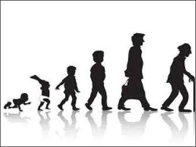 Société - Quel âge au minimum faut-il avoir pour être considéré comme un quadragénaire ?