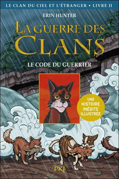 As-tu déjà enfreint le Code du Guerrier ?