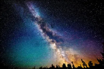 Si tu étais un chat dans LGDC est-ce que tu croierais au Clan des Étoiles ?