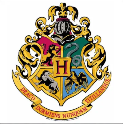 Quelle est ta maison dans 'Harry Potter'' ?
