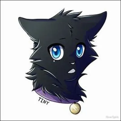 Es-tu un ancien chat domestique ?