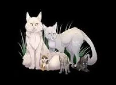 "Je vais te pr&eacute;senter les lieux. Regarde, ici, je te pr&eacute;sente Fleur d'Eau."Une jolie femelle gris perle au corps svelte et d&eacute;licat est couch&eacute;e en position d'une reine, ses yeux bleus vacillant sur ton museau. Puis, elle te sourit doucement."Elle a des chatons, qui ont &agrave;-peu-pr&egrave;s ton &acirc;ge... ah, ces deux-l&agrave; n'arr&ecirc;tent de se chicaner. Petite Cendre et Petite Pomme de Pin."...