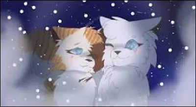 Tu attends enfin ses chatons. Tu les as finalement : trois magnifiques chatons. Es-tu heureuse de cette phase ?