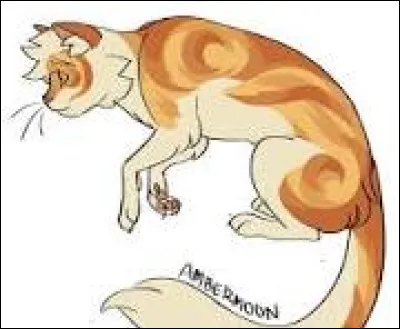 Et le dernier chaton : une femelle d'un magnifique roux dor&eacute; et blanc. Comment l'appelles-tu ?