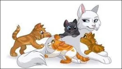 Comment voudrais-tu mourir ?