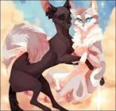 Tu pr&eacute;f&egrave;res les pelages...