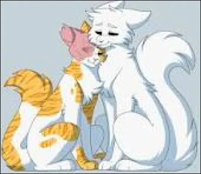 Que penses-tu du couple que forment Flocon de Neige et C�ur Blanc ? L'aimes-tu ?