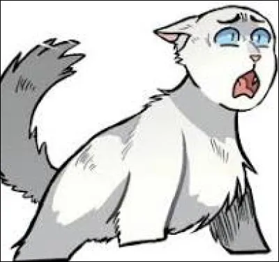 Not&eacute; ! Maintenant, cr&eacute;ons une histoire.Tu es une jeune chatonne n&eacute;e dans le Clan du Vent du nom de Petite Neige. Tu as le pelage blanc, et des oreilles cendr&eacute;es, ainsi qu'une queue grise. Tu es fille unique, et ta m&egrave;re est P&eacute;tale Givr&eacute;, une v&eacute;t&eacute;rante tr&egrave;s exp&eacute;riment&eacute;e au sein du Clan, sans doute la meilleure guerri&egrave;re. Un jour, il se trouve qu'il y a une bataille dans ton camp. Que fais-tu ?