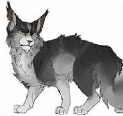 Au c�ur de la bataille, un &eacute;norme matou gris au poitrail et &agrave; la queue noirs, et &agrave; la robe &eacute;paisse et h&eacute;riss&eacute;e, surgit &agrave; l'entr&eacute;e de la pouponni&egrave;re. Son regard ambr&eacute; est br&ucirc;lant, vers ta m&egrave;re, P&eacute;tale Givr&eacute;. Puis, &agrave; ton grand d&eacute;sarroi, il siffle : "Rends-moi mon chaton ! C'est ma fille !""Non, c'est la mienne aussi !"Que fais-tu ?