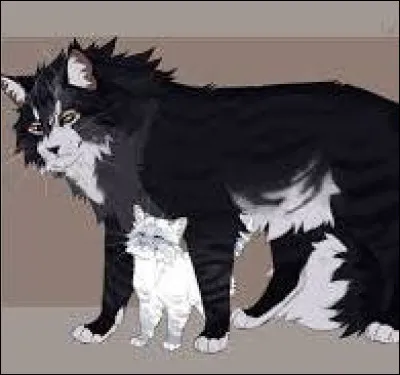 Ton p&egrave;re s'adresse finalement &agrave; toi. Il s'abaisse vers ton petit museau tout blanc, et dit enfin : "Salut, Petite Neige. Je suis ton p&egrave;re, et je me nomme Griffe de Temp&ecirc;te. Ne t'inqui&egrave;te pas, dans ce clan, l'on va plus que t'accepter et te nourrir comme une cheffe... sans lapins." Que dis-tu ?