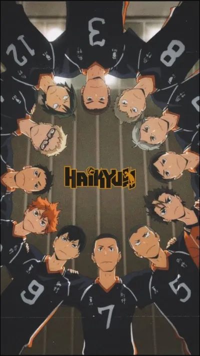 Quel personnage n'est pas à Karasuno ?