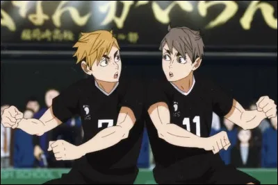 Comment s'appelle le jumeau de Osamu ?