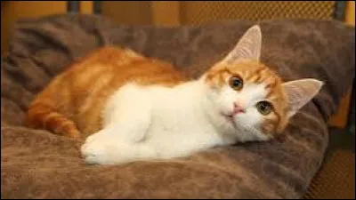 Feuille morte, quel est le sexe de ce personnage ?