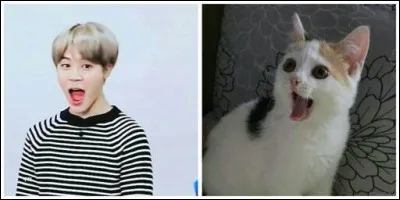 Qui est sur l'image ?