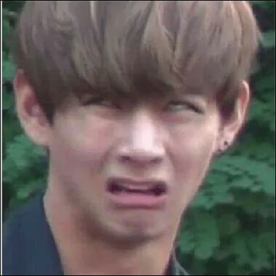 Qui est sur l'image ?