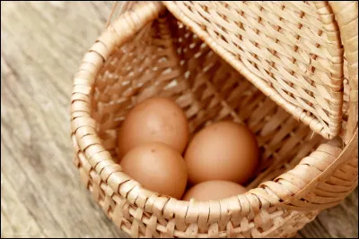 Faut-il laver les oeufs après les avoir ramassés ?