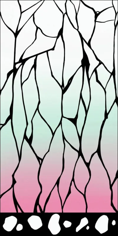 À qui appartenait le haori de Shinobu ?