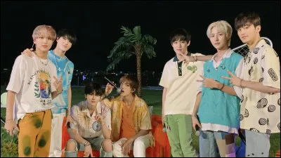 Pour toi, quel est le plus important en tant qu'idole ?