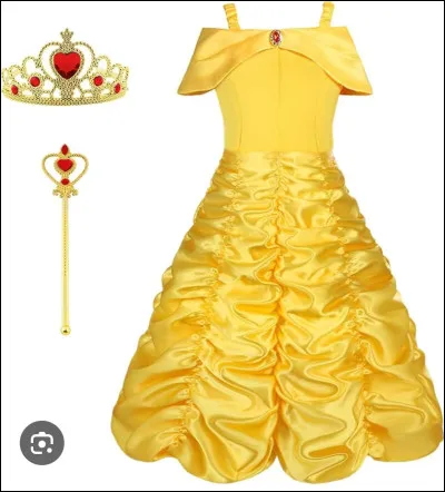 À quelle princesse Disney appartient cette robe ?