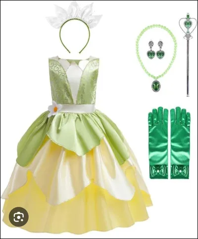 À quelle princesse Disney appartient cette robe ?