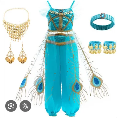 À quelle princesse Disney appartient cette robe ?