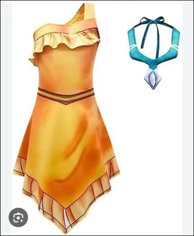 À quelle princesse Disney appartient cette robe ?