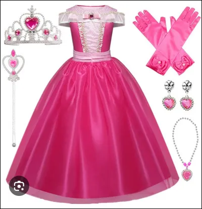À quelle princesse Disney appartient cette robe ?