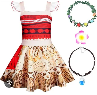 À quelle princesse Disney appartient cette robe ?