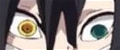 Et ces yeux bicolores ?