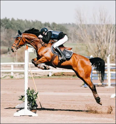 Comment partir au galop à juste ,