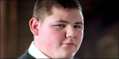 Dans quelle maison est Vincent Crabbe ?