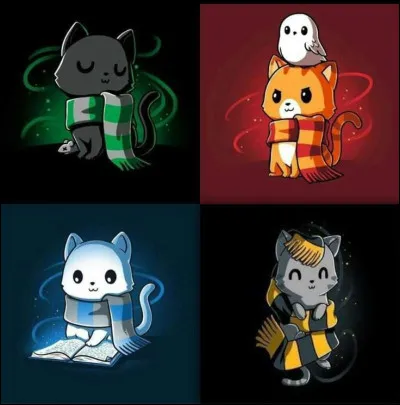 Parmi les propositions, qui est à Serpentard ?