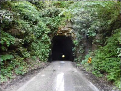 Les Ailes de Pluie ont des tunnels cachés dans leur habitat, combien ?