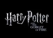 Quiz Harry Potter et la Coupe de Feu