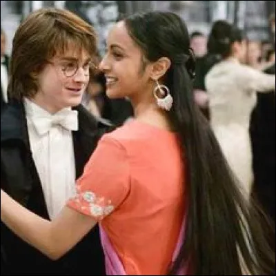 Voilà les élèves de Beauxbâtons arrivés ! Mais par quel moyen de transport arrivent-ils ?