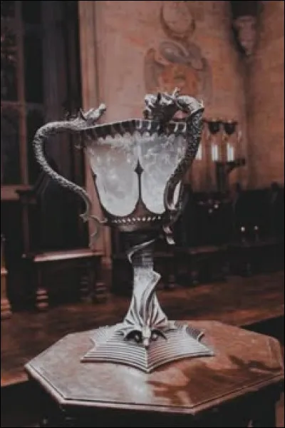 La première épreuve était d'un facile ! Mais la deuxième par contre ... Qui Harry doit-il aller chercher au fond du lac ?