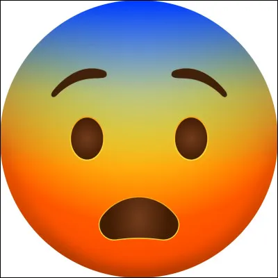 Quel est ton pire défaut ?