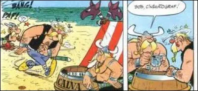 Qu'utilisent les Normands pour boire le calva, leur boisson nationale ?