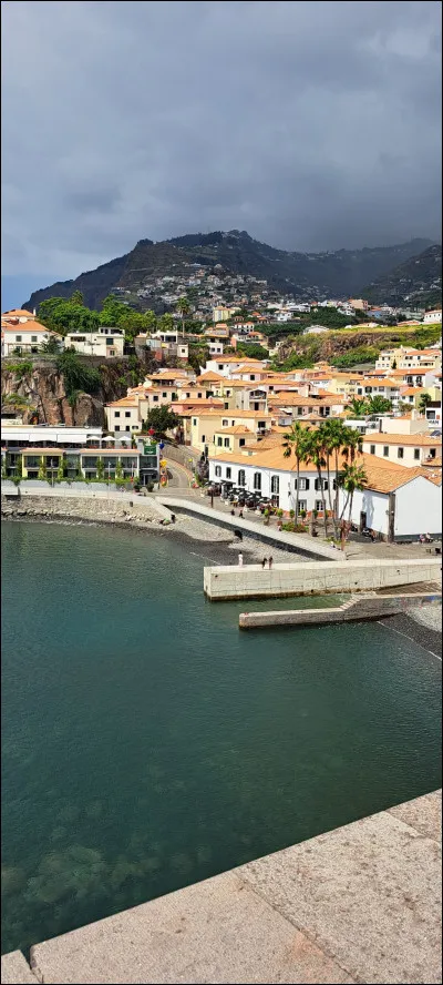 Quel groupe interprétait "Canary bay" en 1985 ?