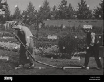 Et voilà, c'est fait Mc Solaar est nommé envoyé spécial, là-bas au paradis, au jardin d'Eden où 
tout semble romantique dans ce tableau d'osmose
Ou sensuelle comme cette brune avec des yeux ---, 
quelle en est la couleur ?