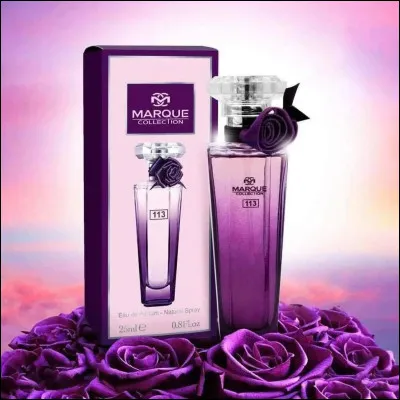 Parmi les suivantes quelle marque préfères-tu ?